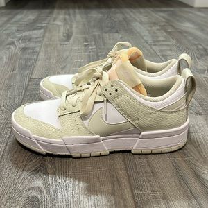 Nike dunk disrupts